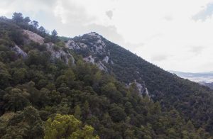 Parque natural de Serra de Mariola y el Carrascar de la Font Roja